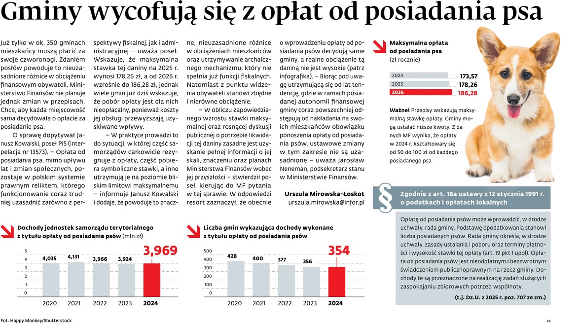 Opłata od posiadania psa nie zawsze się opłaca