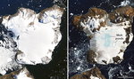 Antarktyda utraciła w kilka dni 20% pokrywy śnieżnej. Zdjęcia szokują