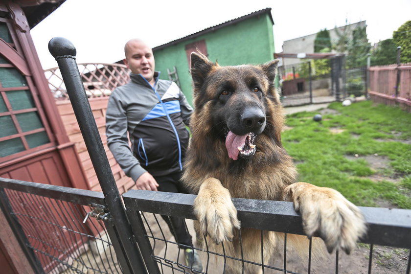 Alex uratował mojego tatę