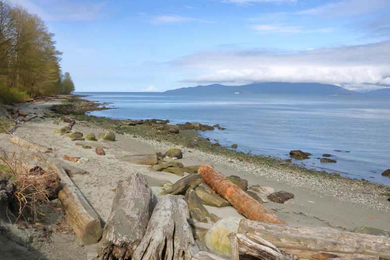 Plaża, Salish Sea