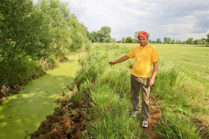 Ta krowa płakała ze strachu