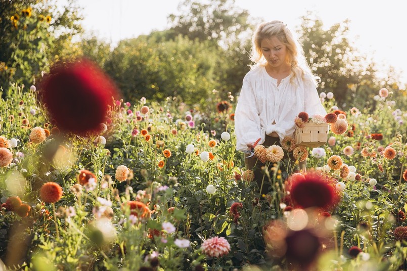 naturalny ogród 2026 kwiaty