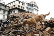 Nepal trzęsienie ziemi