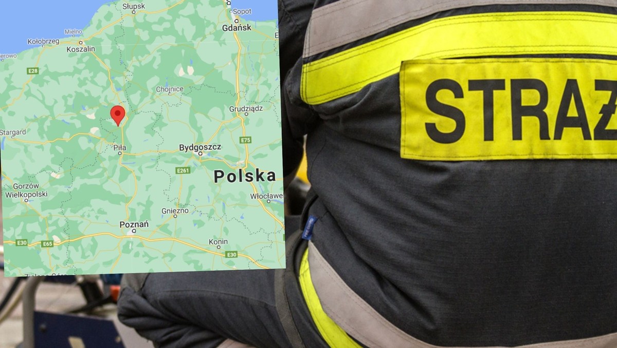 Wielkopolska: Duży pożar zboża. 32 zastępy straży w akcji