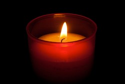 Wszystkich Świętych na Starych Powązkach z kwestą na ratowanie zabytków