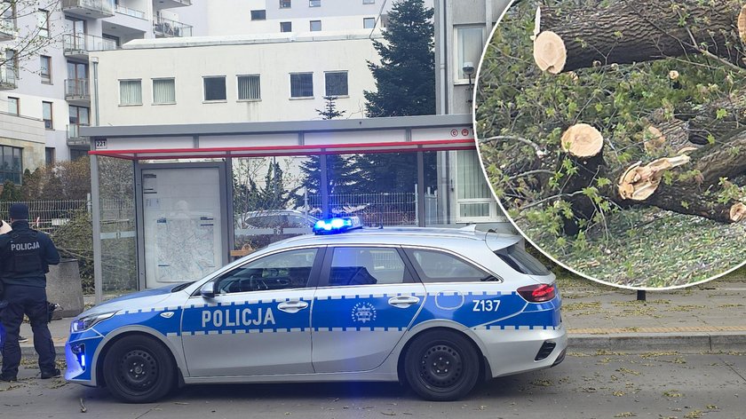 The gust of the wind turned the tree to the stop. Two people injured
