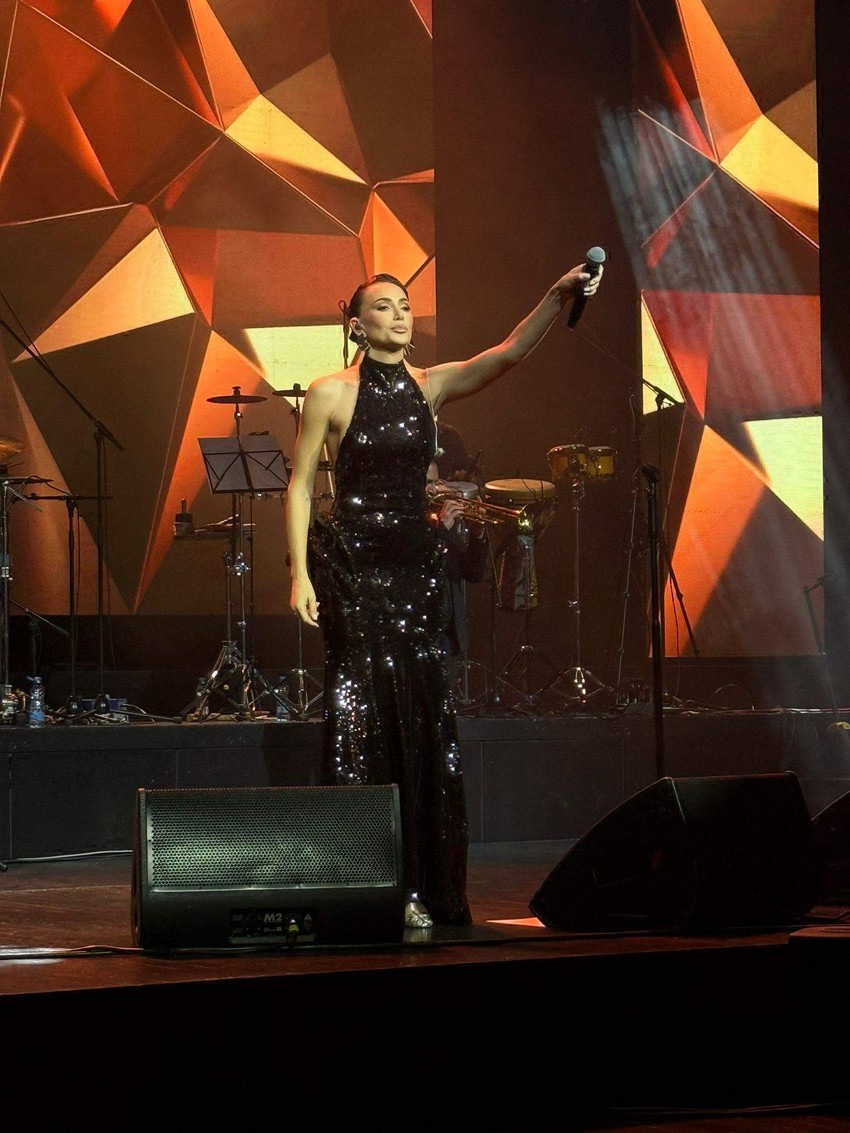 Koncert Mirze Selimovića