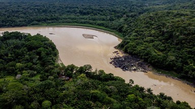 Ekspert WWF o katastrofalnym raporcie. "Wszystko przez człowieka"