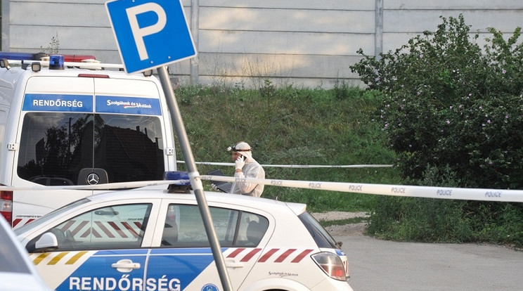 Ágyában támadott rá két ismerőse az alvó férfira, régebbi sérelmek miatt álltak bosszút /Fotó: Police.hu