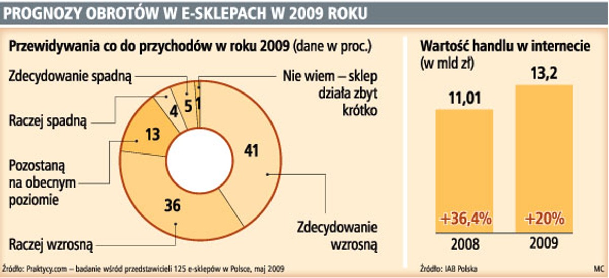 Prognozy obrotów w e-sklepach w 2009 roku