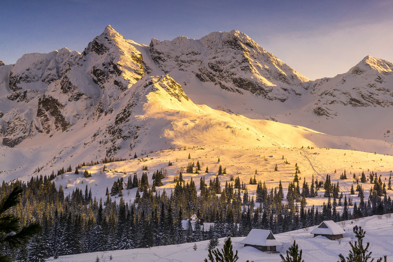 Hala Gąsienicowa, Tatry