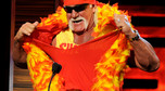 Hulk Hogan w 2010 roku
