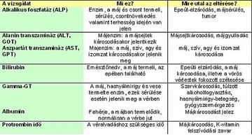 A túlzott alkoholfogyasztás károsíthatja a májunkat és a szerveinket