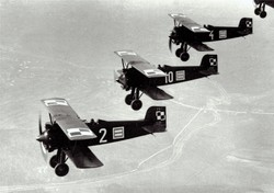 Kiedy Polska była (podniebną) potęgą... ARCHIWALNE ZDJĘCIA z początków lotnictwa