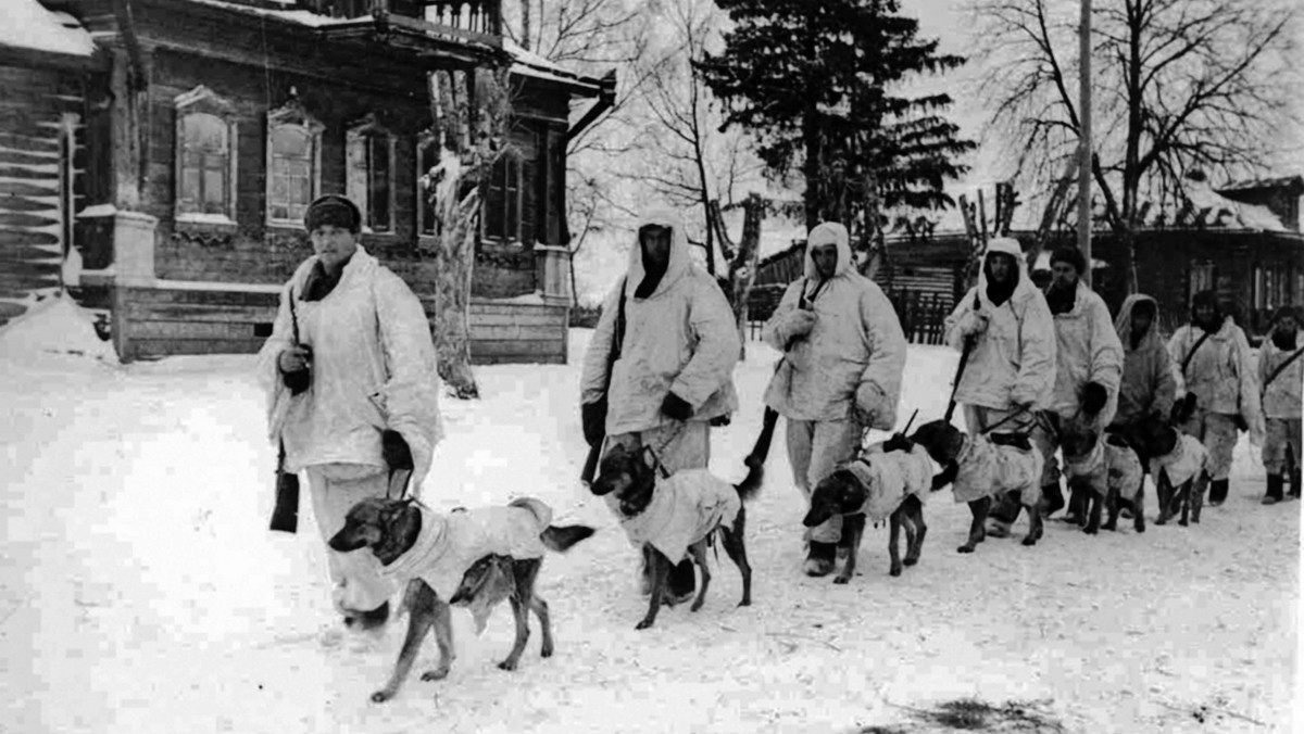 Psy przeciwpancerne podczas drugiej wojny światowej 