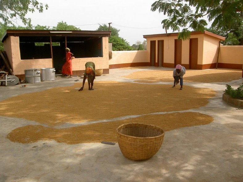 Bolgatanga Rice Mills