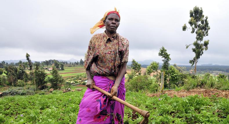 A woman tilling a piece of land. (developlocal.)