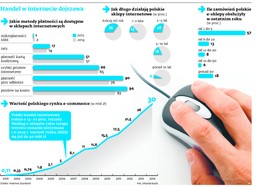 Rekordowy rok e-commerce. Wartość handlu w sieci może przekroczyć 30 mld zł