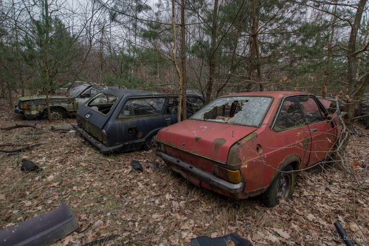 Cmentarzysko samochodów pod Warszawą