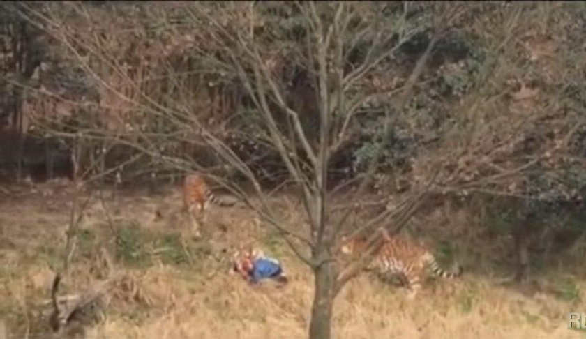 Horror w zoo! Mężczyzna zginął na oczach przerażonej rodziny