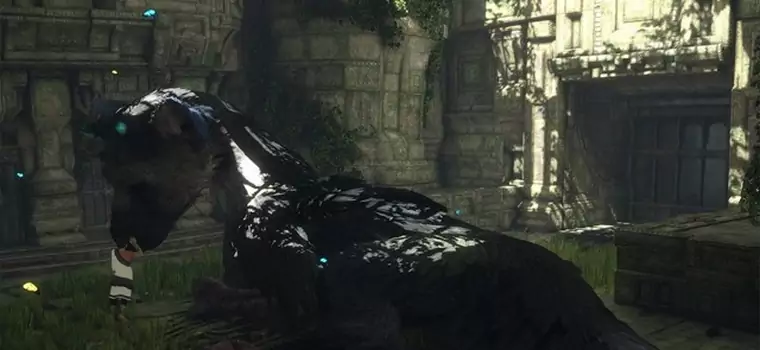 The Last Guardian na Tokyo Game Show? Wygląda na to, że twórcy coś szykują