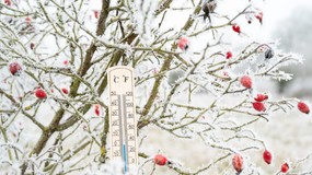 Ekstremalne ochłodzenie w drodze. Nocą choćby do -30 stopni mrozu!