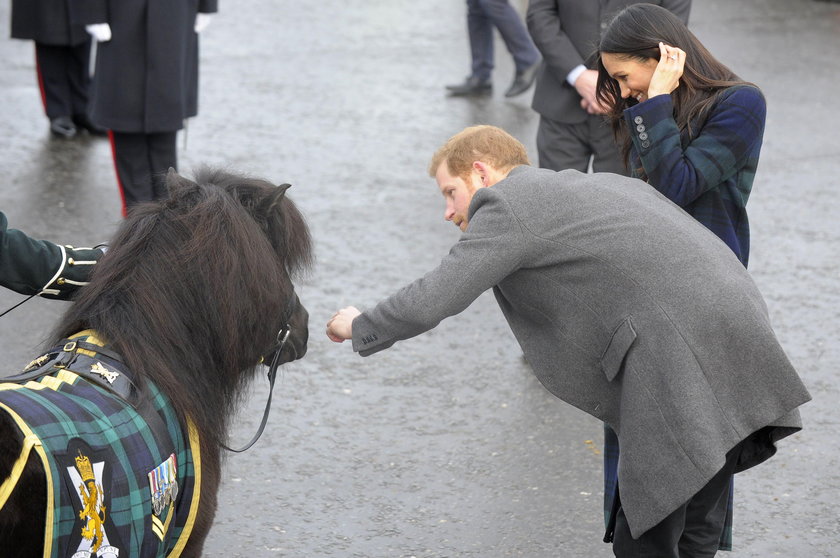 Książę Harry 