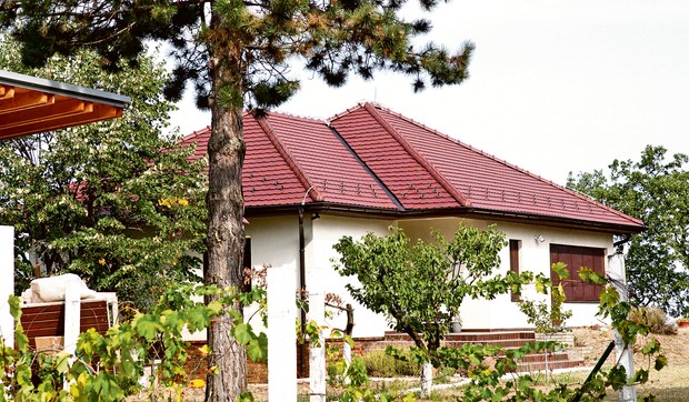 Vojin i Sloboda Ćetković, vikendica Čortanovci