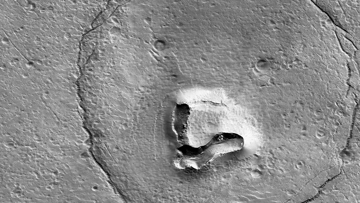 Фото ведмедя на Марсі