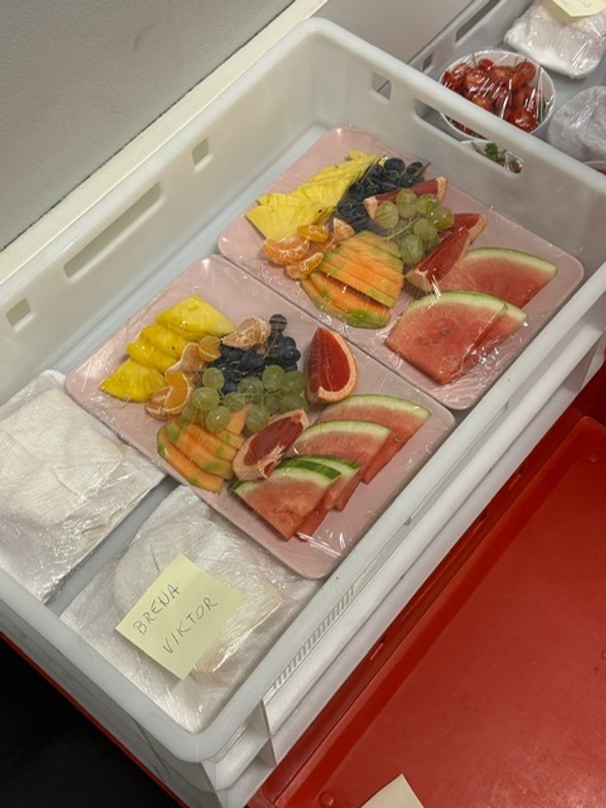 Brenine "odaje" pred koncert