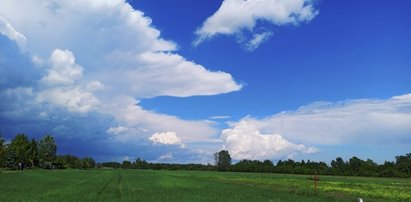 Pogoda na czerwiec. Żar z nieba, czy będzie chłodno i deszczowo? Wiemy, kiedy temperatura spadnie poniżej 17. st. C!