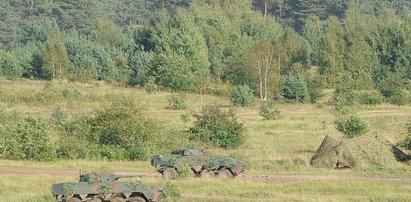 Ciało młodej kobiety na poligonie. Policja bada czy to zabójstwo?