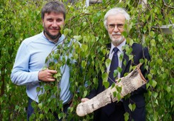 Plastik z dodatkiem brzozy. Natura dotarła do świata tworzyw sztucznych [Eureka!DGP]