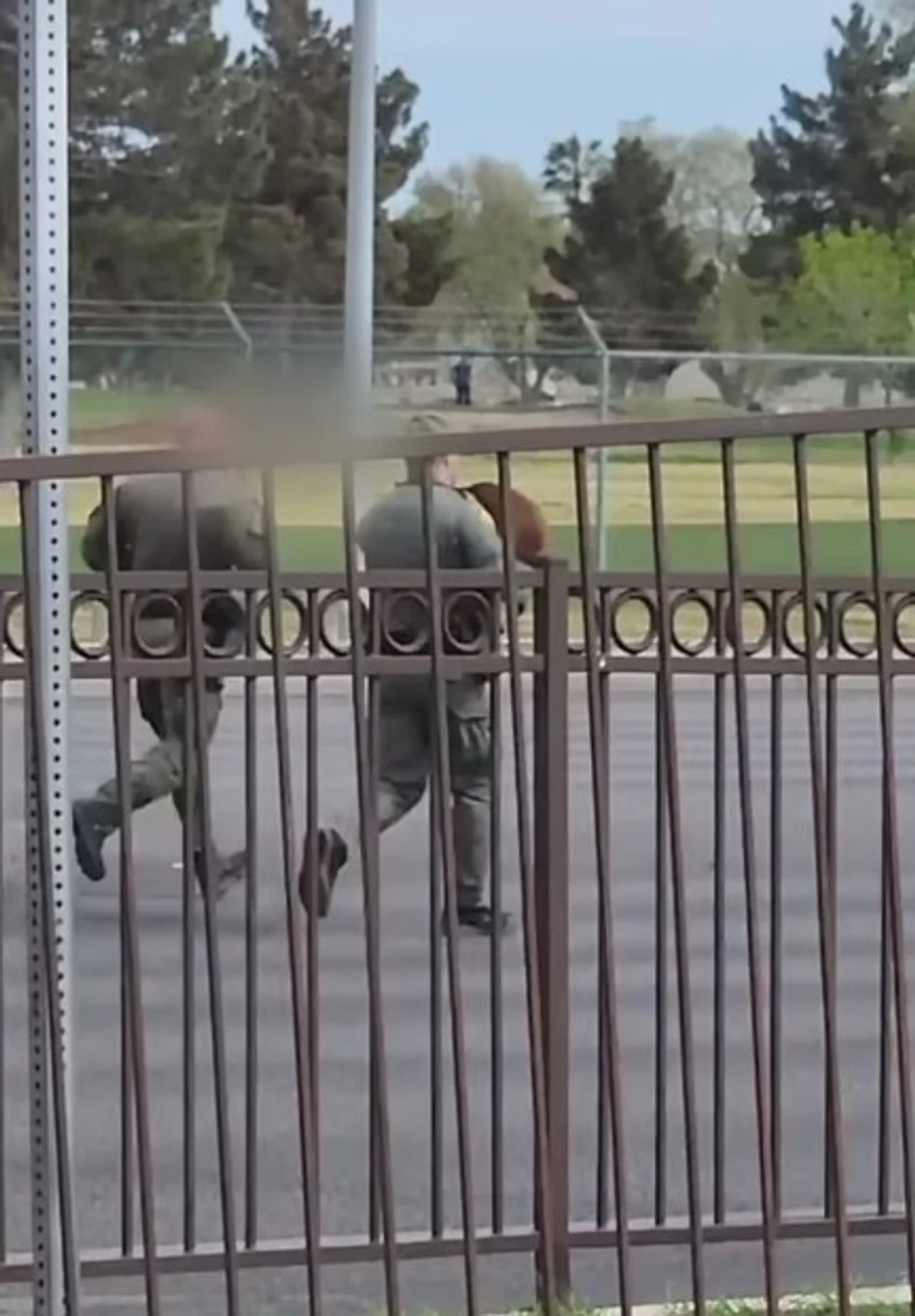 Psa su morali da prenesu u specijalizovanu bolnicu