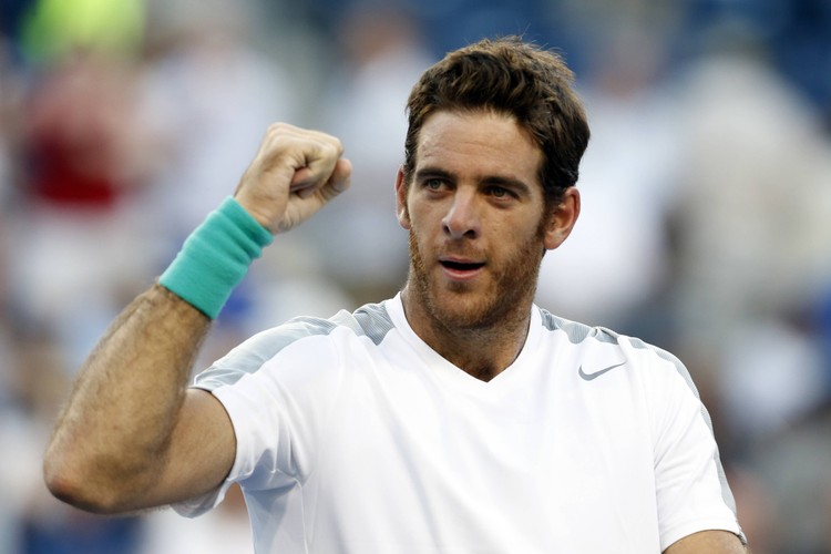 8. Juan Martin del Potro (Argentyna) - w 2013 roku zarobił 1 222 881 dol.