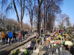 Cyfrowy przewodnik po cmentarzach. Wyszukiwarki grobów online