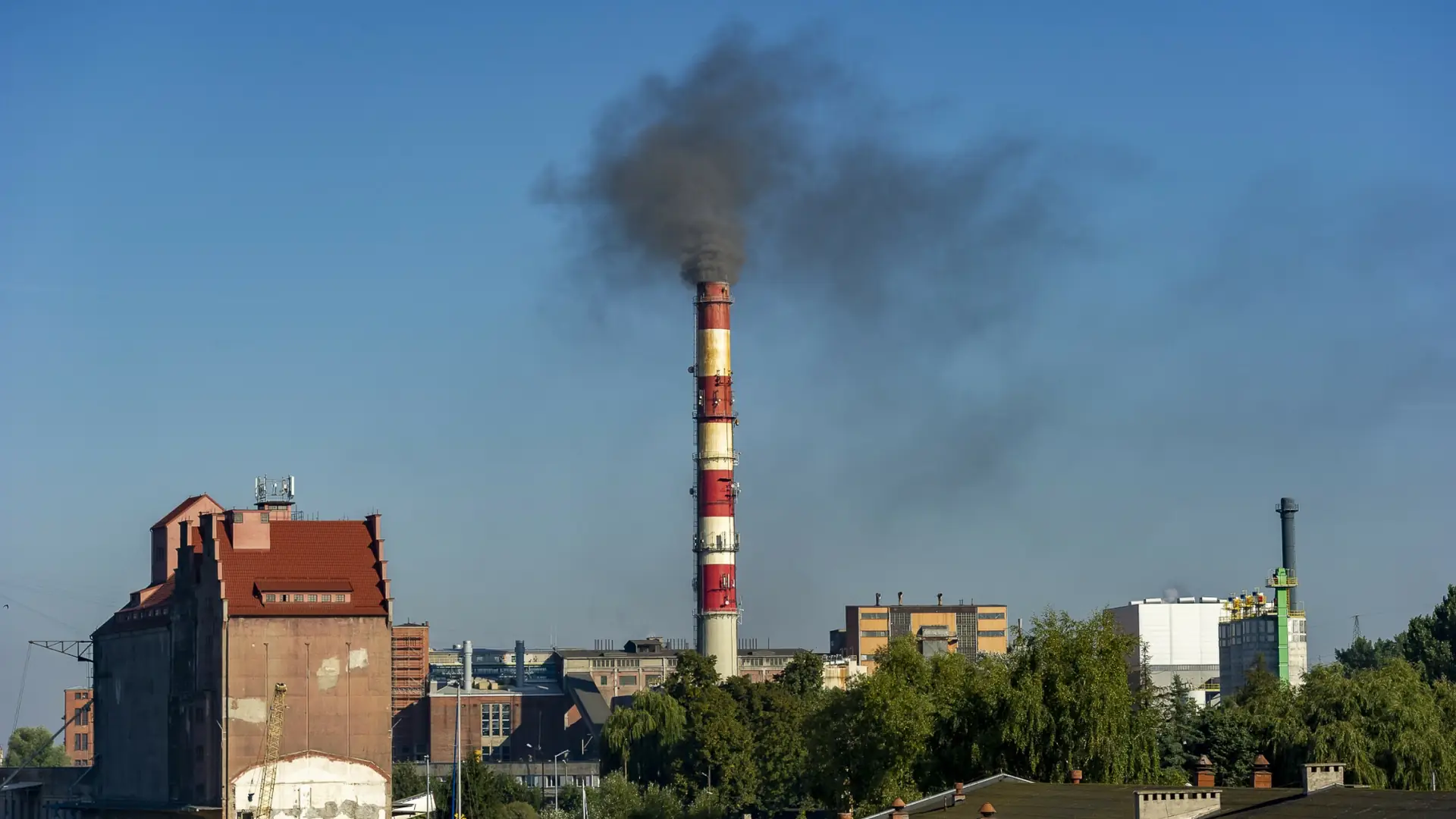 Minister Klimatu broni ogrzewania węglem. Raport pokazał, że nie ma racji