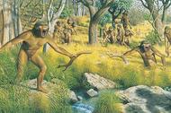 Australopiteki