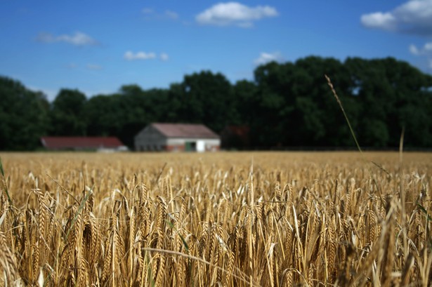 Wzrost dochodów rolników priorytetem resortu rolnictwa