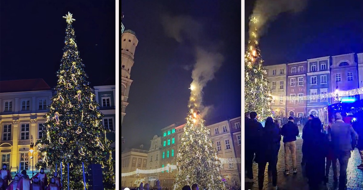 Płonąca choinka wśród tłumu. Panika w centrum miasta