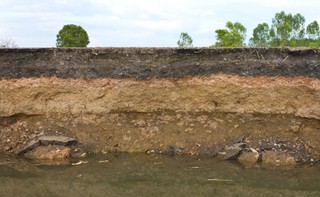 Rzepak i kukurydza utonęły pod wielką wodą. Kiedy rynek odczuje skutki?