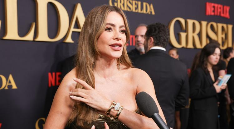 Sofía Vergara még mindig keresett színésznő Hollywoodban Fotó: Getty Images