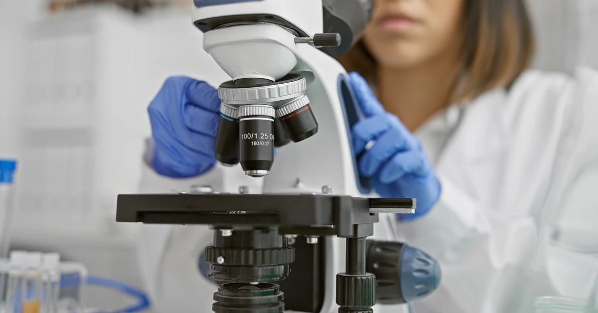 Bakteria E. coli może rozprzestrzeniać się tak gwałtownie jak świńska grypa