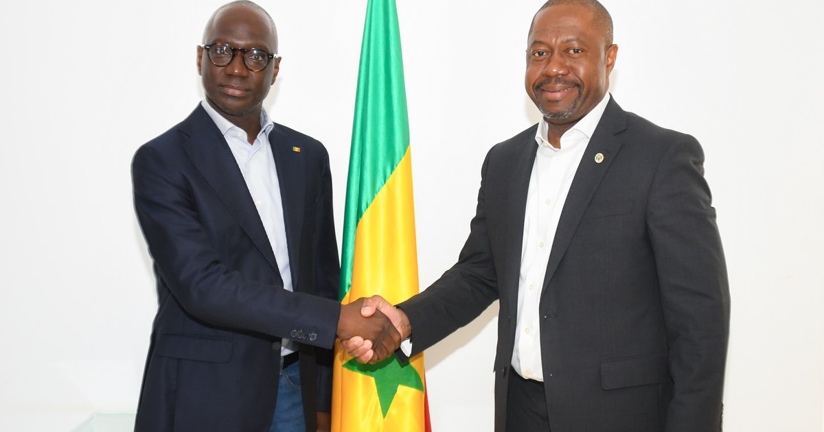 Gabon seeks Senegal’s help to build poultry industry ahead of 2027 chicken import ban