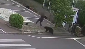 Medved u Japanu napao i povredio četiri osobe