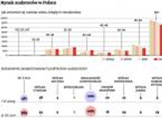 Trudno jest biegłemu rewidentowi prowadzić działalność w pojedynkę