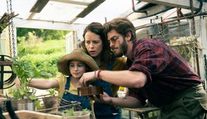 Magično daleko drvo