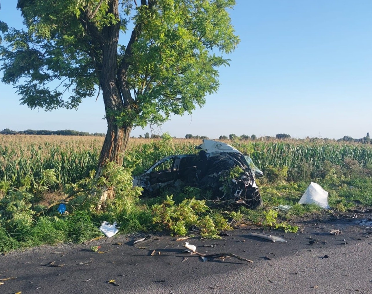 Devätnásťročný vodič osobného automobilu neprežil náraz do stromu.