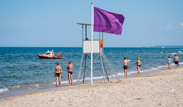 šta predstavlja ljubičasta zastava na plaži