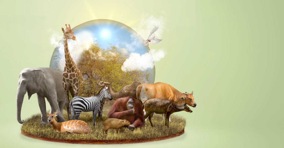 90 proc. absolwentów oblewa ten biologiczny QUIZ. Wynik 8/10 to mistrzostwo!